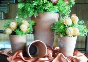 Bevorder die belange van die stad/dorp